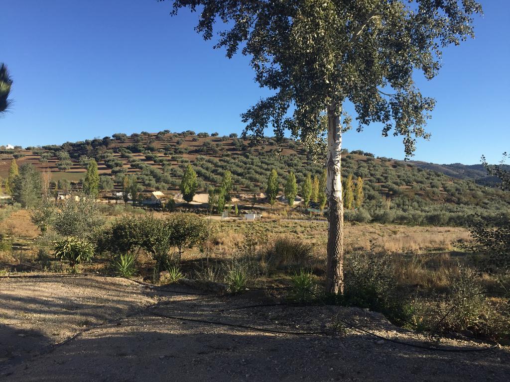 Hotel Arco Del Sol Colmenar Dış mekan fotoğraf